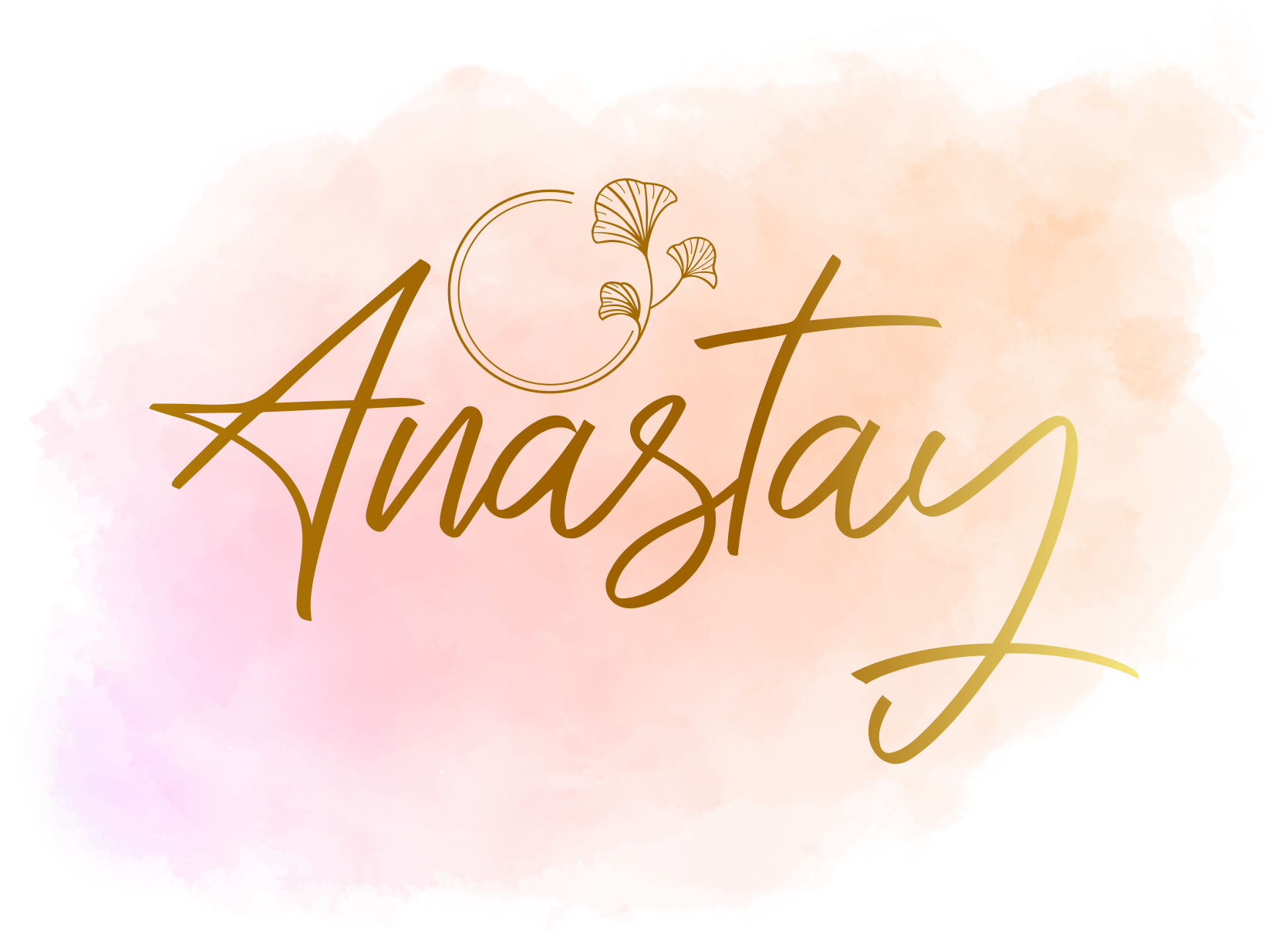 Anastay jaipur